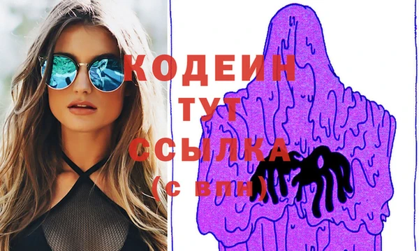индика Беломорск