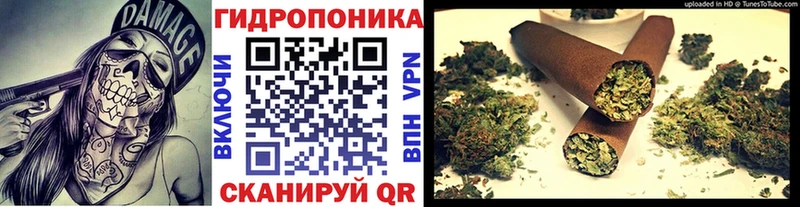 Конопля индика  Купить где  Озёрск 